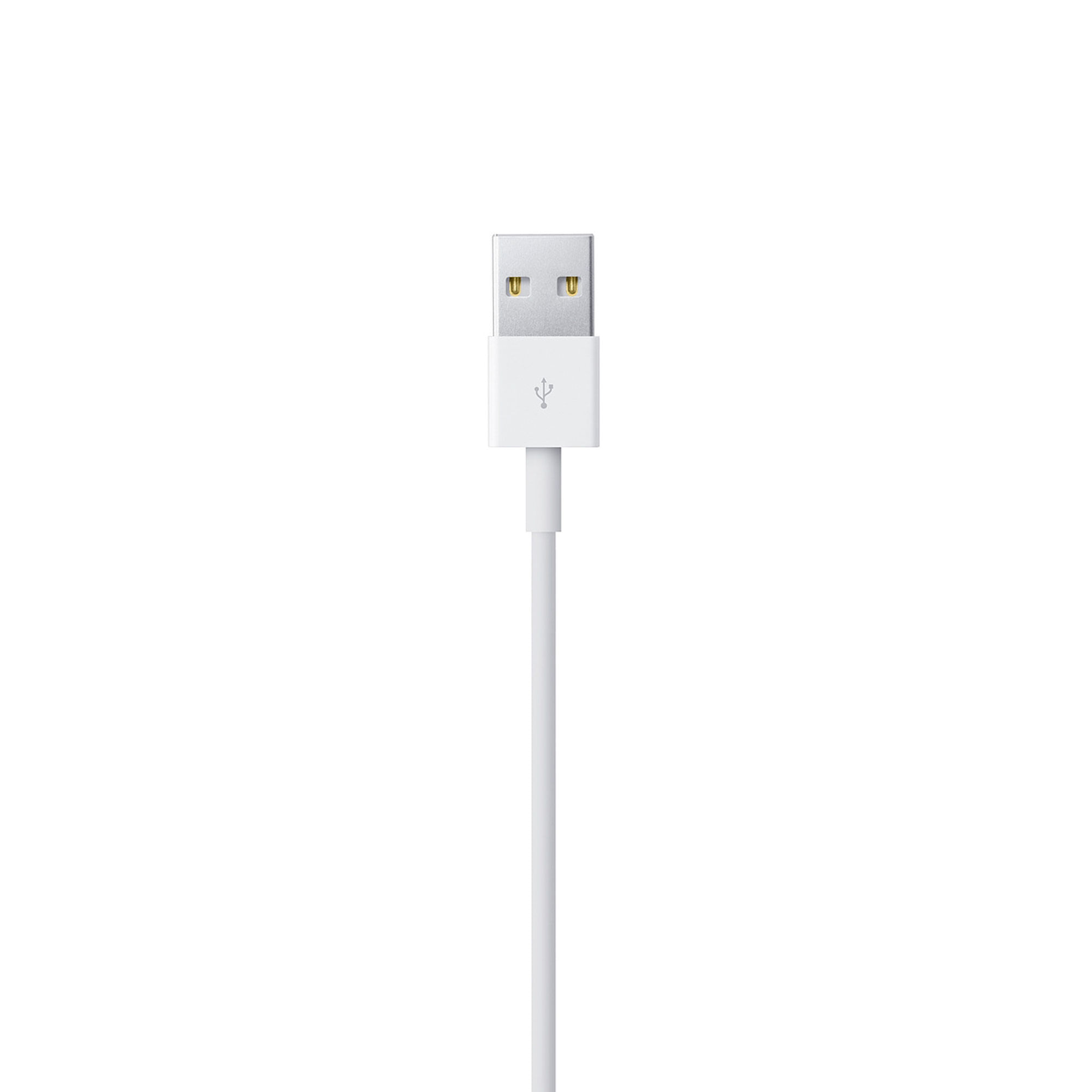 Cable de Lightning a USB (2 m) - Apple (MX)
