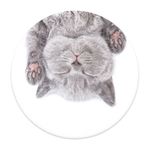 sujetador-para-celular-popsockets-gato-gris-portada-01