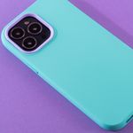 TPKPRTLVLAZLIPH13PMX_01