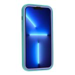 TPKPRTLVLAZLIPH13PMX_05