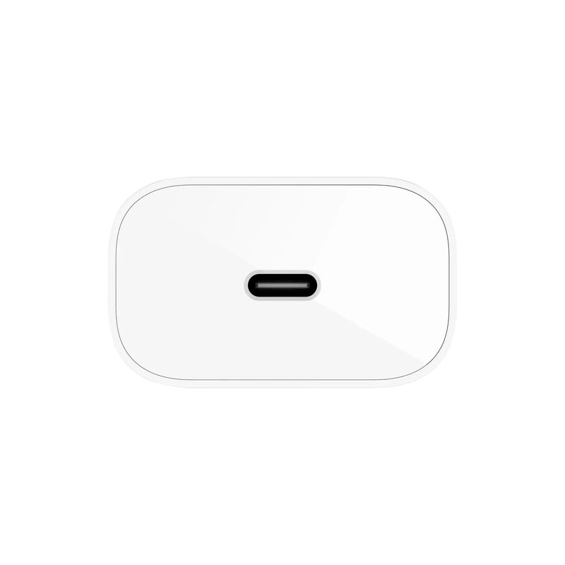 BLKCA1PTUSBCBCO25W